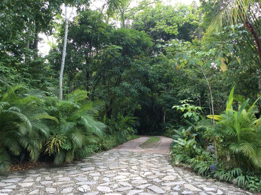 Hotel Boutique Quinta Chanabnal Palenque Dış mekan fotoğraf